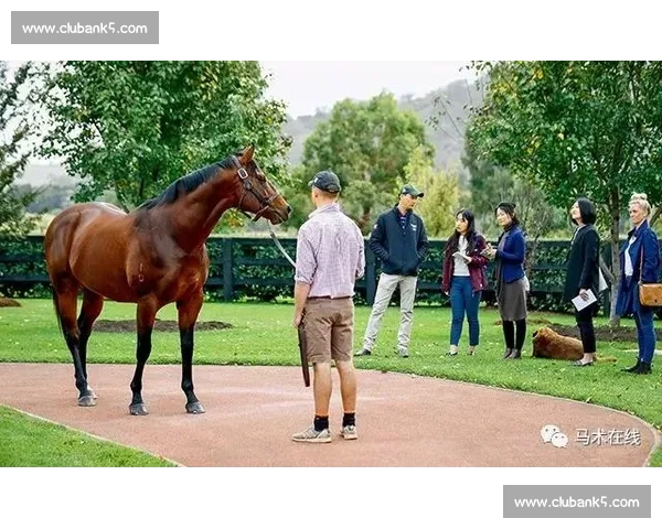 在城市与自然之间用踩单车重新发现自由与健康的生活方式探索之旅